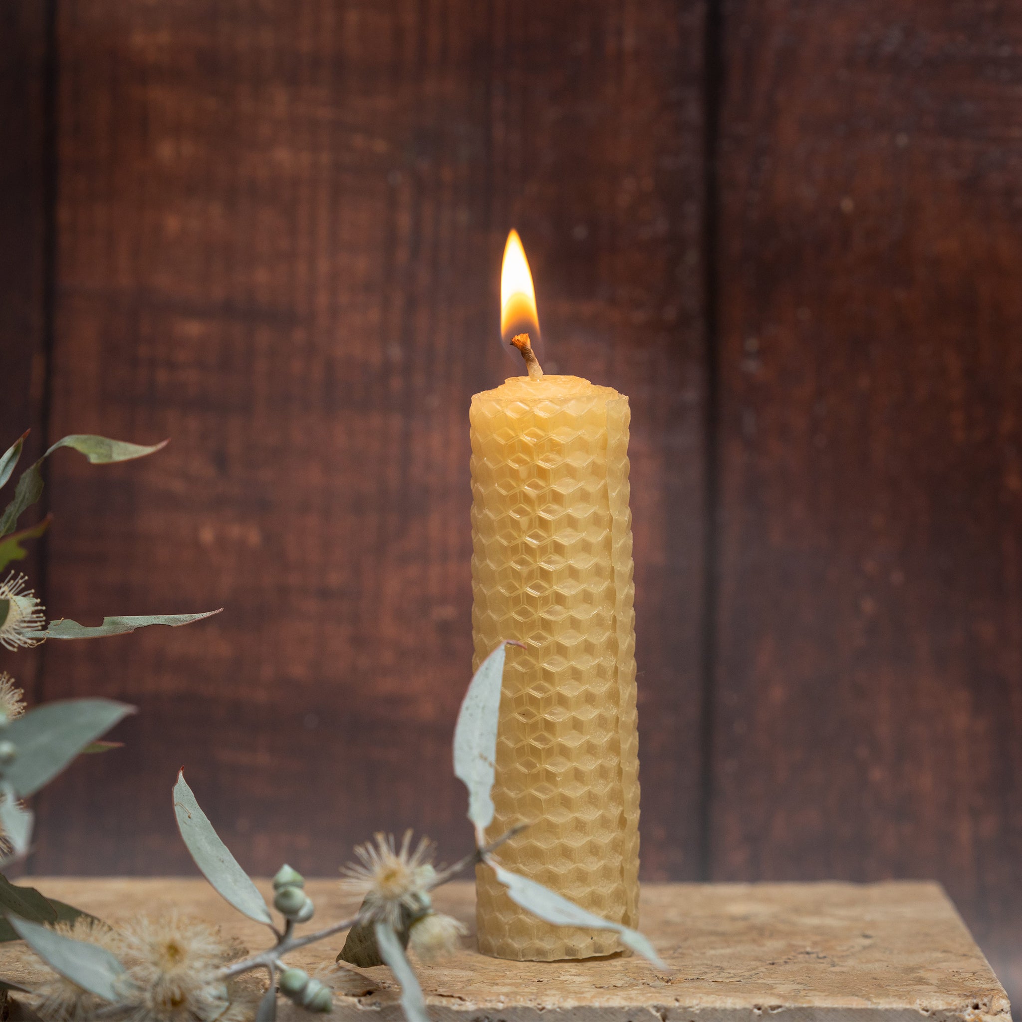 Natural Australian Rolled Beeswax Candles (3 Pack)